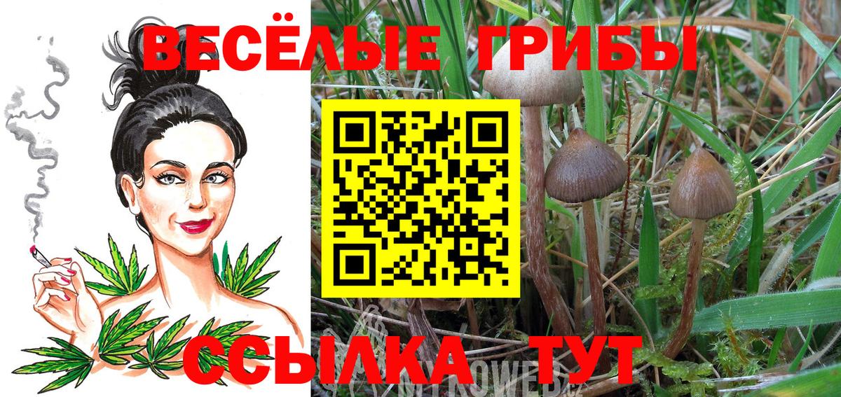 Хасавюрт  Галлюциногенные грибы Magic Shrooms  Вход с VPN 